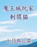 魔王城玩家刺猬猫