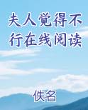 夫人觉得不行在线阅读
