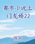 都市小说上门龙婿22