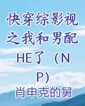 快穿综影视之我和男配HE了（NP）