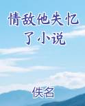 情敌他失忆了小说