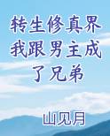 转生修真界我跟男主成了兄弟