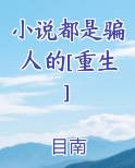 小说都是骗人的[重生]