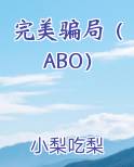 完美骗局（ABO）
