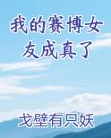 我的赛博女友成真了