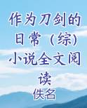 作为刀剑的日常（综）小说全文阅读