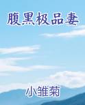 腹黑极品妻